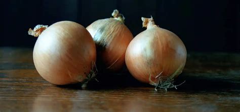 What Gives Onions Their Distinctive Smell Julian Nayuri