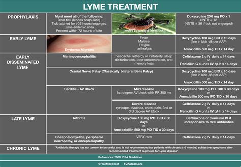 Lyme Disease Treatment Prophylaxis Early Lyme Grepmed