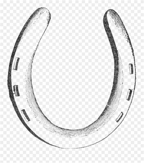 Horseshoe Drawing At Explore Collection Of