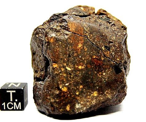 Meteorite Nwa 14967 Achondrite Ureilite Primitive Achondrite Meteorite