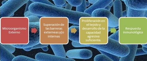 Infecciones Nosocomiales Concepto E Importancia De La Infección