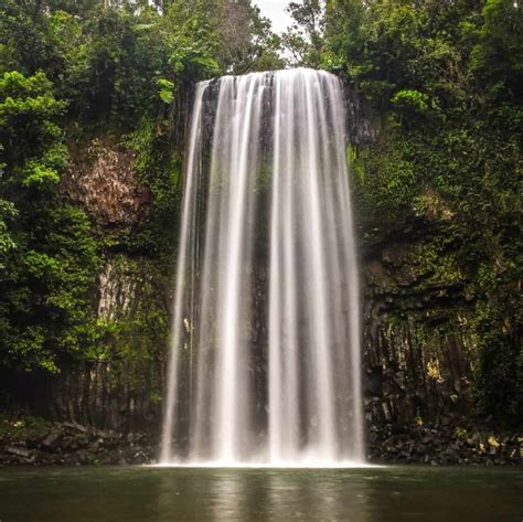 Popular Atherton Tablelands Waterfalls Tour Review 2021