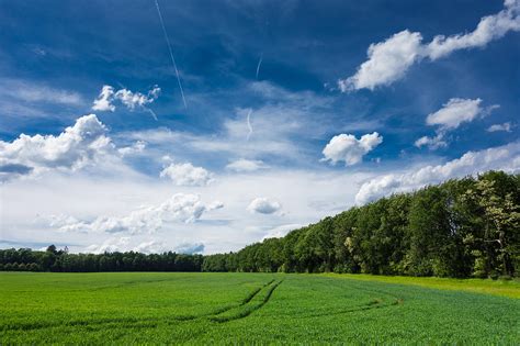 Deep Blue Fresh Green And White Clouds Lovely Summer Landscape