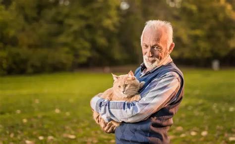 How To Pick Up A Cat And Hold Them Correctly Tuxedo Cat