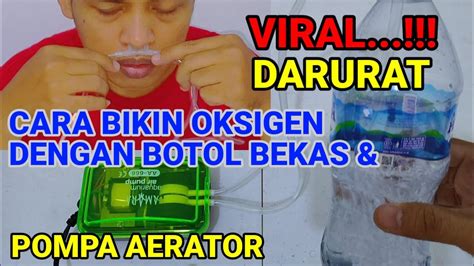 Pentingnya Oksigen Dalam Hidroponik Cara Membuat Oksi