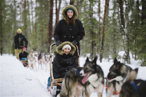 The Best Of Lapland Dog Sled Tour And Visit To Santas Village