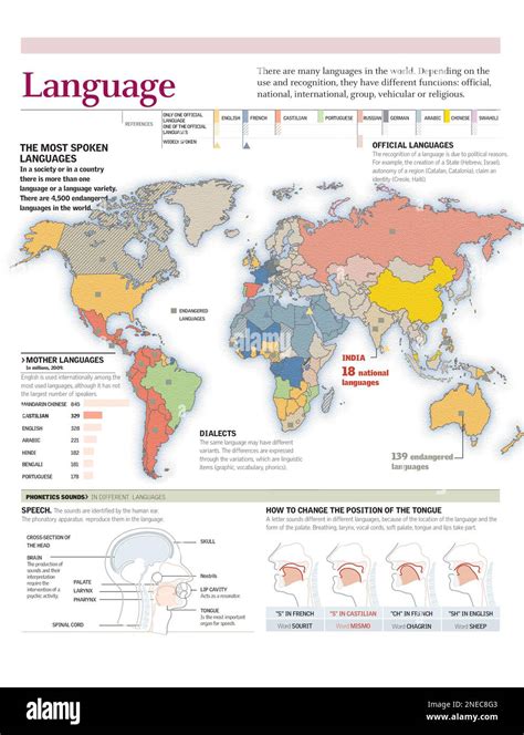 Mapa Mundial De Las Lenguas Más Habladas Del Mundo E Infografías De La