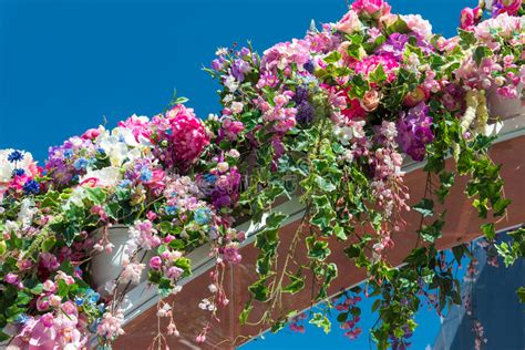 Beautiful Flower Arch Stock Images Download 13612 Royalty Free Photos
