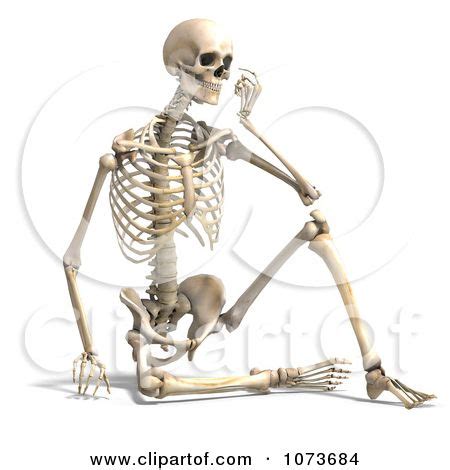 Skeleton Side View Sitting D Human Male Skeleton Sitting And