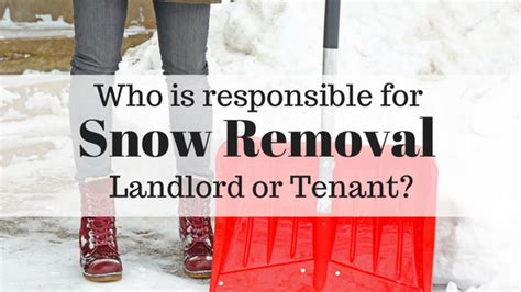 If You Own Or Manage A Rental Property You May Be Wondering Who Is