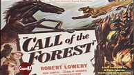 Call of the Forest (1949) | Full Movie | Robert Lowery | John F. Link ...