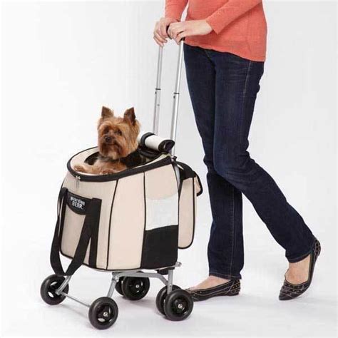 The wide open top and shallow depth (only about 6 high at rest) are perfect for seasoned dogs who know the drill. Modern Design Ideas for Pets, Tote Bags, Strollers ...