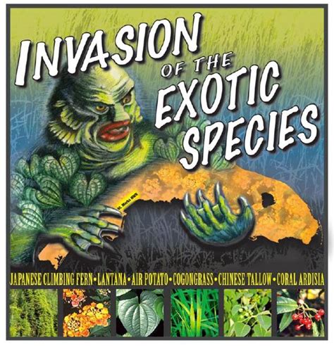 Illinois Invasive Species Awareness Month The Hunt For Invasive