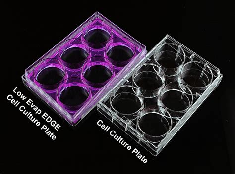 96 Well Cell Culture Plate Flat Tc Sterile Individually Plastic Wrapped 1pk 100cs