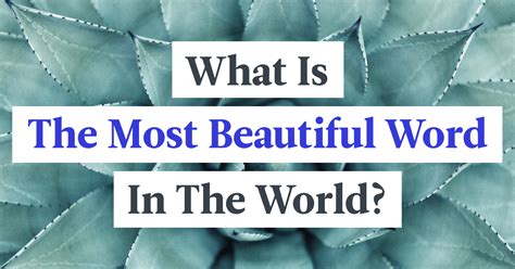 Whenever you see a beautiful person, place, or thing, the only word comes into your mind is. What Is The Most Beautiful Word In The World?