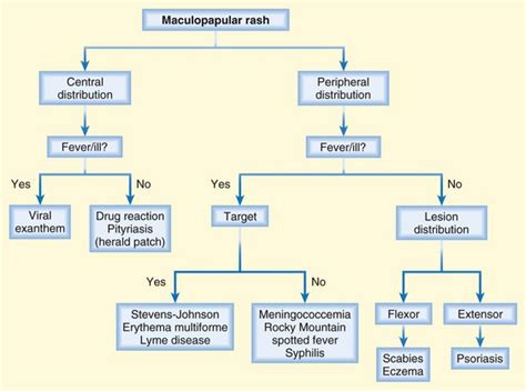 Approach To The Adult Rash Anesthesia Key