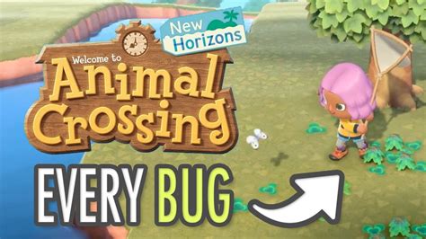 Animal Crossing New Horizons Every Bug Youtube
