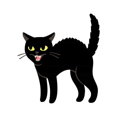 Black Cat Hissing Illustrations Royalty Free Vector Graphics And Clip
