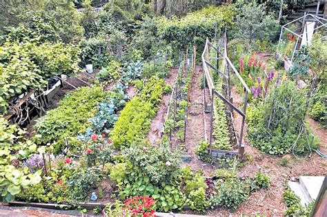 How To Garden On A Slope 12 Ideas For Hillsides