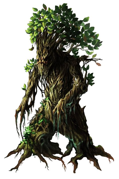 Tree Ent Tree Monster Creatures Fantasy Creatures