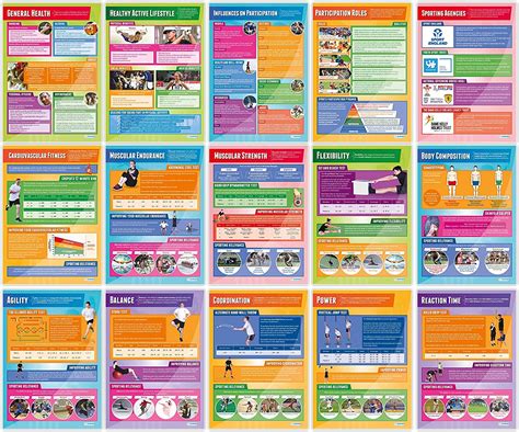 Physical Education Posters Set Of 40 Pe Posters Gloss Paper