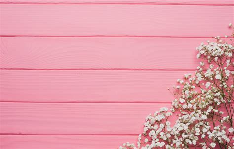 Wallpaper Flowers Background Tree Pink Texture Pink Flowers