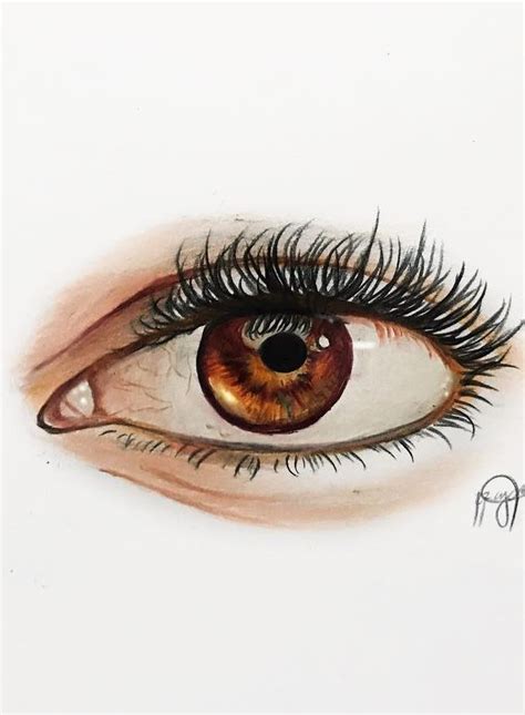 36 Awesome Eye Drawing Images How To Draw A Realistic