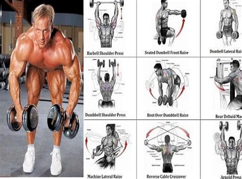 12 best dumbbell exercises for shoulders