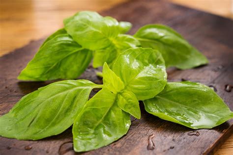 Basil Cooking Tips Uses And Recipes