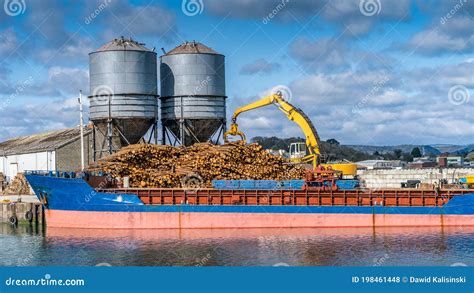 Crane With Wood Logs Gripple Loading Timber On Cargo Ship Stock Photo