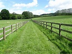 Fenced off footpath © Philip Halling :: Geograph Britain and Ireland