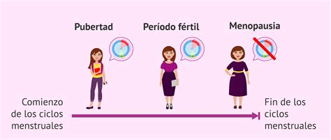 Optimismo Tubo Respirador Vestíbulo Periodo Fertil De La Mujer