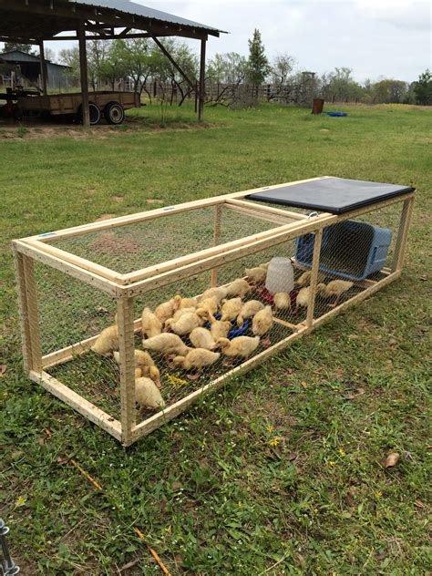 I Designed And Built This Duckrabbit Run I Need To Get Busy Making A
