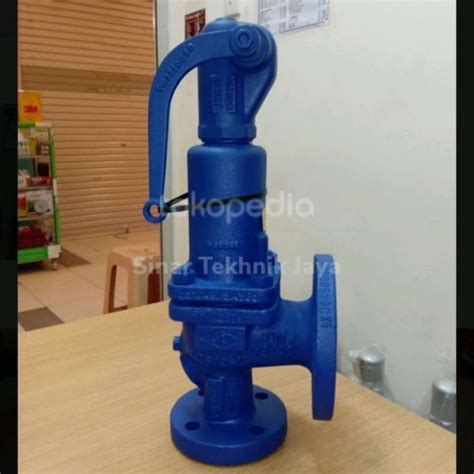 Promo Safety Valve PN16 1 Ari Armaturen Flange DN25 Diskon 23 Di Seller Munjazi Store