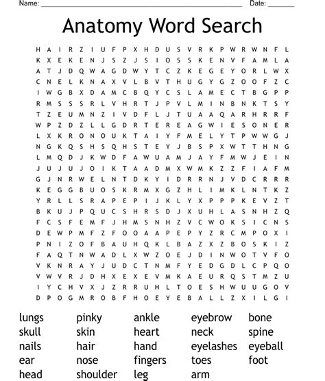 Anatomy Word Search Wordmint