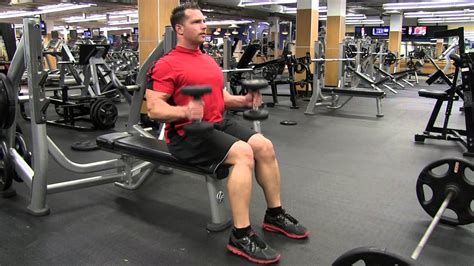 Seated Dumbbell Bicep Hammer Curl Youtube