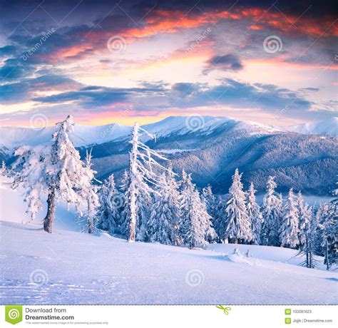 Beautiful Winter Sunrise In Carpathian Mountains With Snow