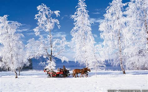 Wallpapers Winter Scenes 58 Background Pictures