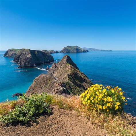 25 Gorgeous Coastal National Parks Channel Islands National Park