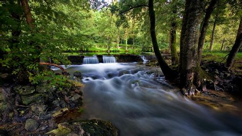 Clear Water Green Nature Hd Wallpapers Widescreen Nature Photos
