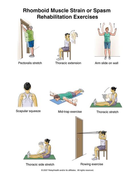 Shoulder Bursitis Exercises Physical Therapy Pinterest Muscle