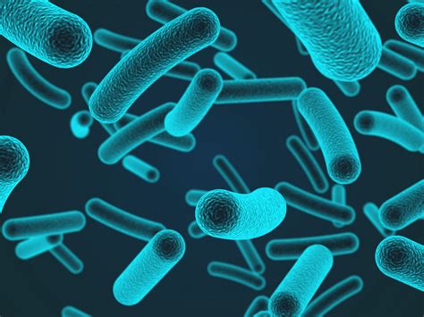Microbes — Microbiome Insights