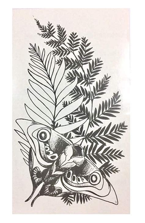 A Black And White Drawing Of A Plant With Leaves