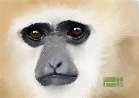 Artstation Realistic Gibbon