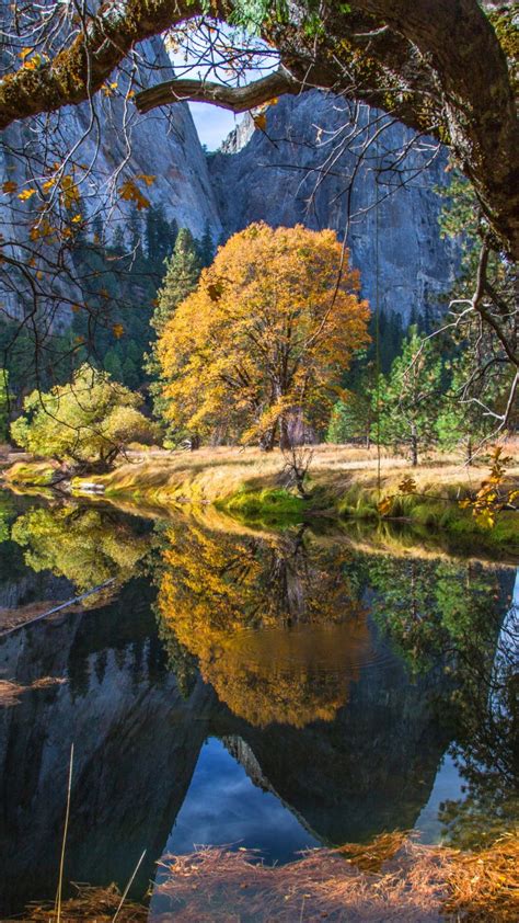 Wallpaper Yosemite 5k 4k Wallpaper 8k Forest Osx Apple Mountains