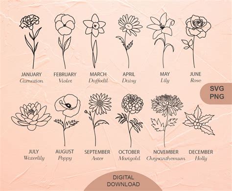 Birth Flower Svg Birth Month Flower Outline Birthday Flower Clipart