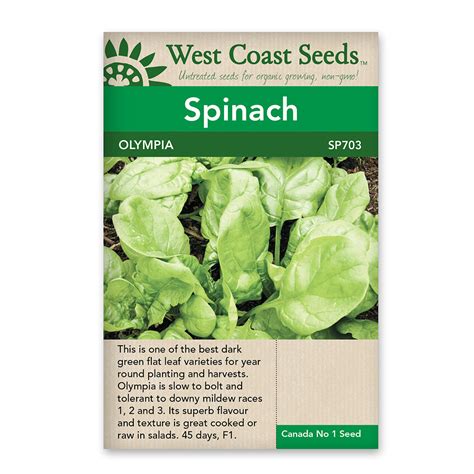 Spinach Olympia Seeds Sheridan Nurseries Online