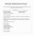 FREE 8+ Sample Professional Email Templates in PDF