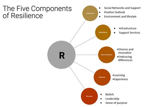 The Neuroscience Of Resilience