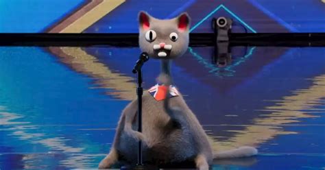 Britains Got Talent Viewers Baffled By Bizarre Cgi Cat Act That Judges